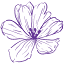 flourishteam.com