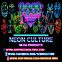 shopneonculture.com