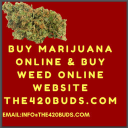 the2buds.com