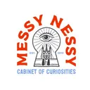 messynessychic.com