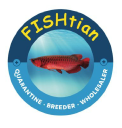 fishtian.com.au