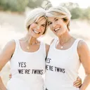 thedesigntwins.com