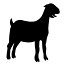 grazingwithleslie.com