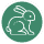 bunnyadvice.com