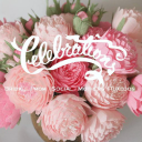 celebrationsbridalandprom.com