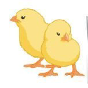 kenya-poultry-incubators-suppliers.co.ke