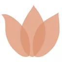 borrowingmagnolia.com