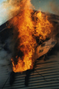 brookfieldfd.com