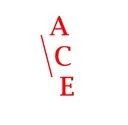 acepi.com.sg