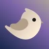 shorebird.dev