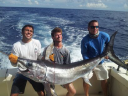 fishmiamicharters.com