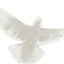 pater-pio.com