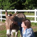 communication-animale.net