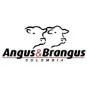 asoangusbrangus.org.co