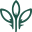 norganic.shop