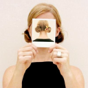 thejealouscurator.com