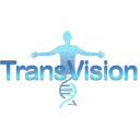 transvisionmadrid.com
