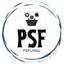 ps-tile.com