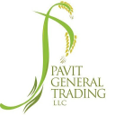 pavitgroup.com