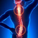 chiropractorlongisland-joint.com