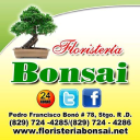 floristeriabonsai.net