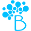 bloom-therapy.org