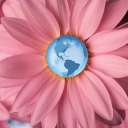 blossom-project.org