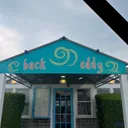 thebackeddy.com