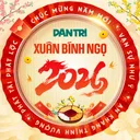 dantri.com.vn