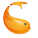fishdigital.be
