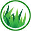 better-lawn-care.com