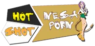 nesaporn.com