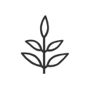 livekindly.co