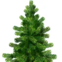 rockingtreefarm.com