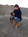 steaminc.jp