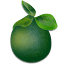 limestonemassageclinic.com