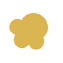 mountaineerpopcorn.com