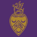 palmer.college