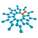rarediseases.org