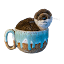 ceramikawydry.pl