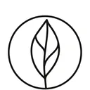 vitalvoiceandspeech.com