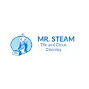 mrsteamgroutcleaning.com