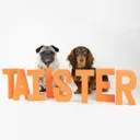 tailster.com