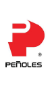 penoles.com.mx