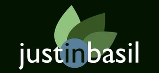 justinbasil.com