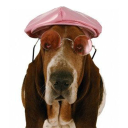 mswinteractivedesigns.com