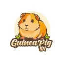 guineapig101.com