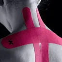 recovery-chile.cl
