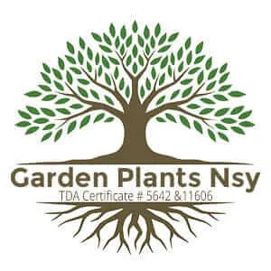 wholesalenurseryco.com