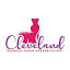 clevelandweddinggowns.com
